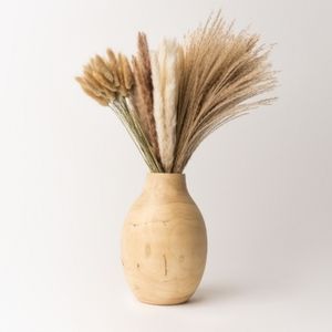 100 Piece Dried Pampas Grass